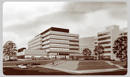 The University Main Building